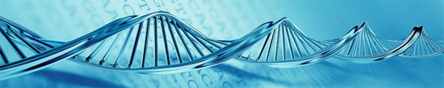 Genetics Questions and Answers about PGD and IVF